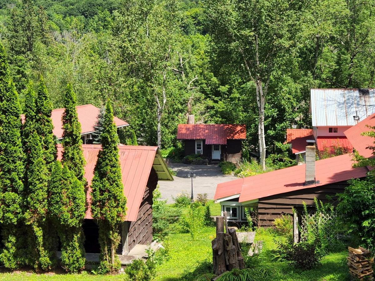 Belleayre Lodge Pine Hill Luaran gambar