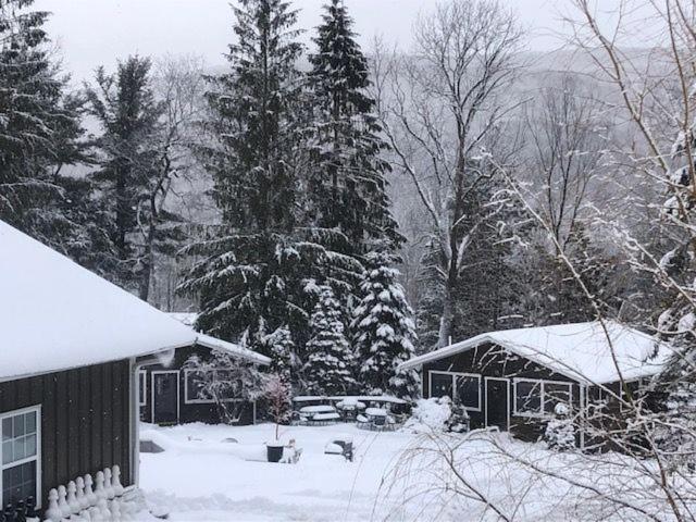 Belleayre Lodge Pine Hill Luaran gambar